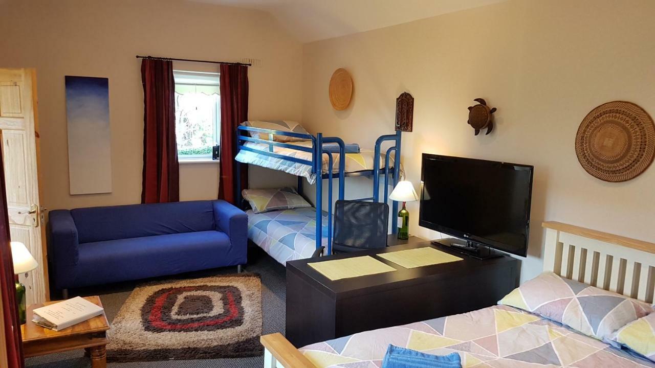 Hilltop Seaview Apartment Виклоу Экстерьер фото
